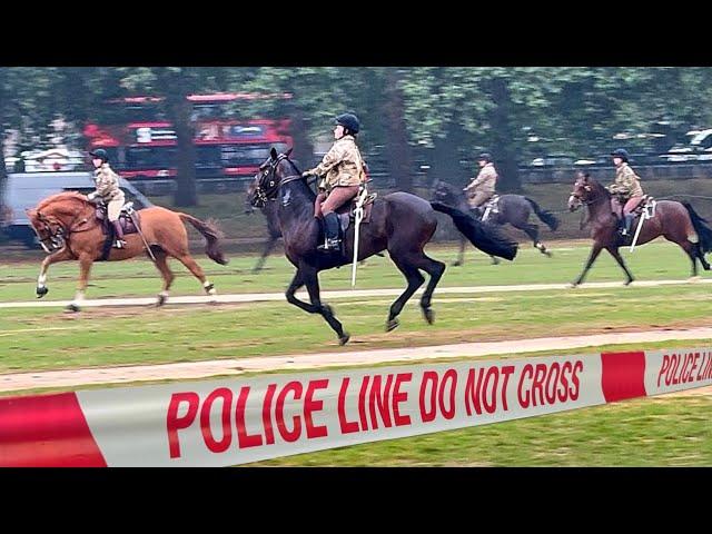 HEART-STOPPING: HORSE STAMPEDE ERUPTS ACROSS HYDE PARK