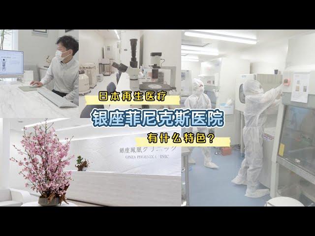 值得一看的日本干细胞再生医疗机构，银座菲尼克斯医院Ginza Phoenix Clinic，銀座鳳凰クリニック