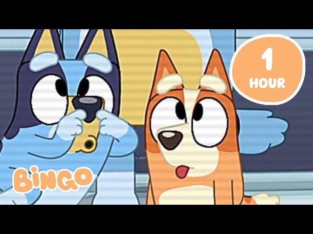 LIVE: Cheeky Bingo Moments   | Funny Moments with Bluey and Bingo | Bingo