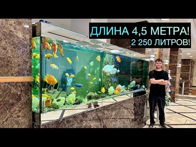 ОБЗОР АКВАРИУМА 4,5 МЕТРА С КРУПНЫМИ ЦИХЛИДАМИ