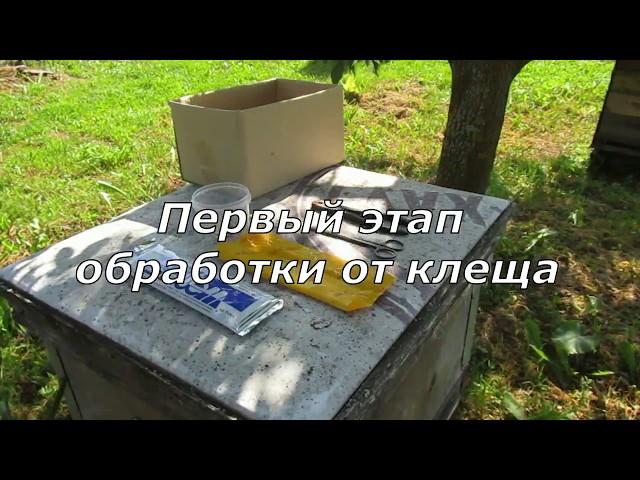 Первый этап обработки от клеща