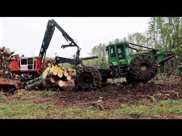 Logging 4 Acres of Old Pasture to Make It New Again (from Start to Finish)