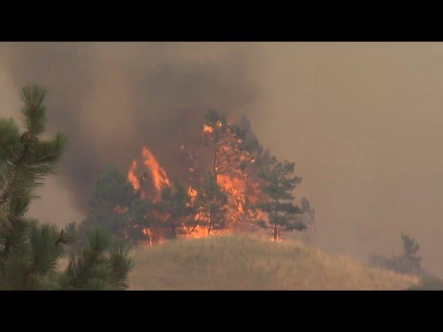 Forest Service Investments to Help Reduce Wildfire Risk