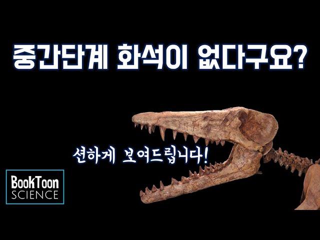 중간단계 화석을 시원하게 보여드립니다│진화론의 증거 [북툰 과학다큐]