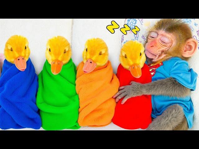 Bebe Mono BonBon duerme con el patito y rescata a sus amigos del agujero. - MONO BONBON ESP