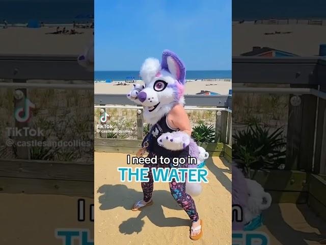 Touch grass? Nah the sea! #furry #furries #fursuit #tiktok #shorts