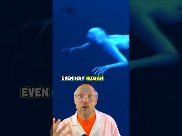 The Japanese ningen