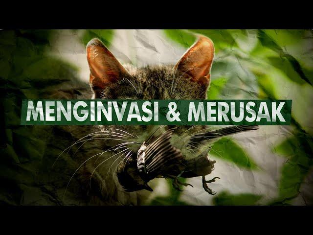 Mahluk Hidup Yang Justru Harus Dibunuh | Spesies Invasif, Invasive Species