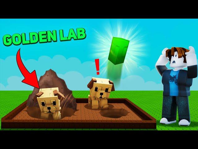Using Only Seeds My Golden Lab Digs Up In Grow A Garden
