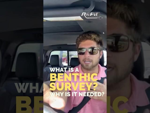 What is a Benthic Survey and why is it needed? #floridakeys #florida #construction #fypシ