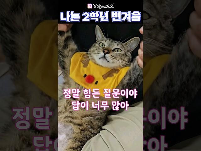 나는 2학년 변겨울 #차노을챌린지