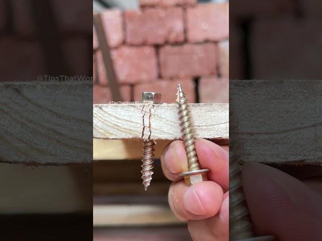 How to Use Screws Properly Without Splitting Wood! #woodworking #diy #shorts