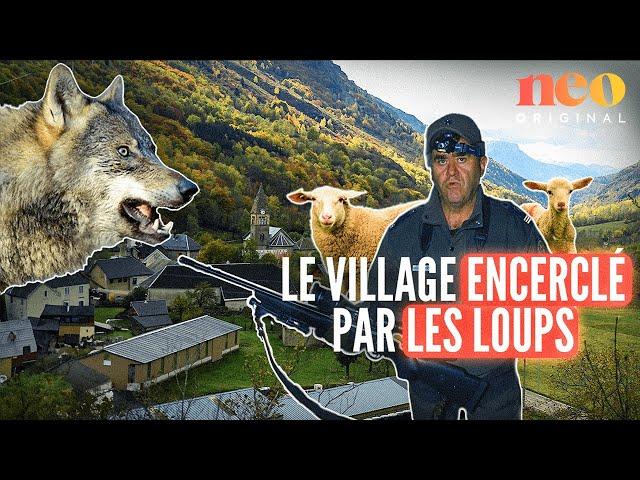 Ce village d’Isère résiste à trois meutes de loups