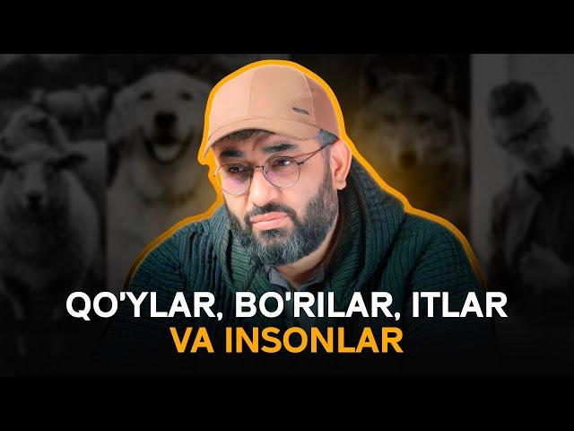 Qo'ylar, bo'rilar, itlar va insonlar | IBRATLI HIKOYA | @AbdukarimMirzayev2002 #hikoya