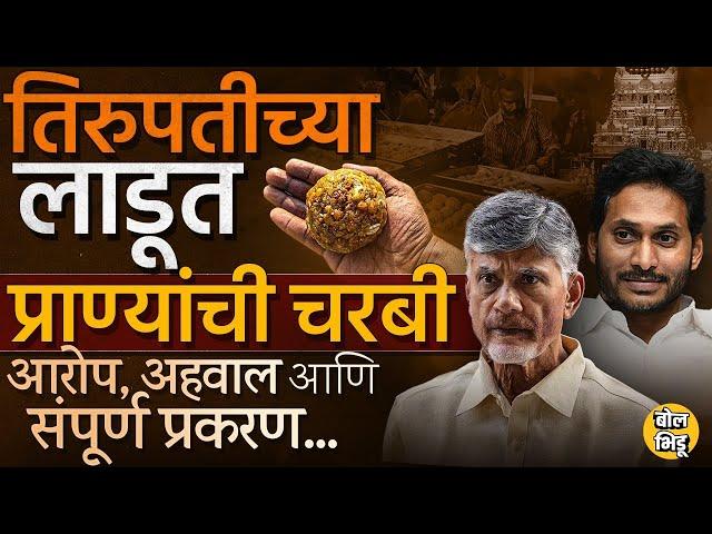 Tirupati Laddu Controversy: Balaji मंदिरातील प्रसादात जनावरांची चरबी? TDP चा YSR Congressवर आरोप का?