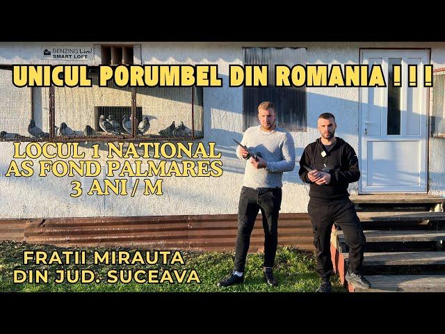 Acasa la FRATII MIRAUTA - UNICUL PORUMBEL DIN ROMANIA - Locul 1 National As Fond Palmares 3 ani 2024