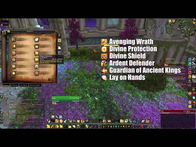 WoW Patch 5.4.7 Protection Paladin Guide