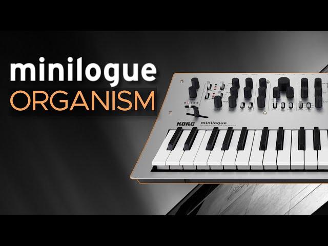 Korg Minilogue Presets for Ambient, Techno, IDM and Electronica - Sound Demo (No Talking)