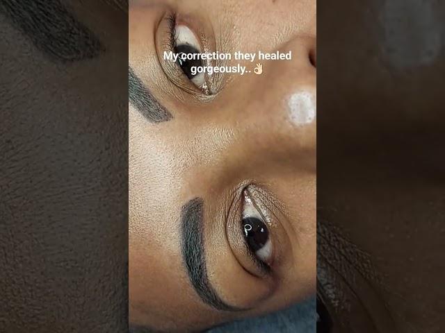 Permanent Brows #permanentmakeup #brows #eyebrows #eyebrows #pmu #browsonfleek #johannesburg #brows