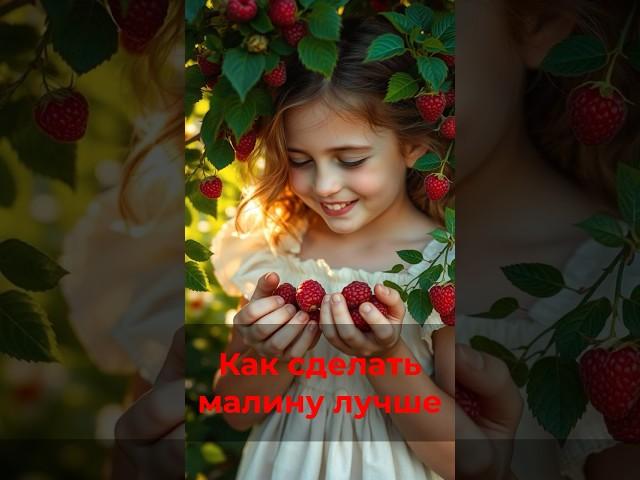 Поможем правильно ухаживать за малиной!