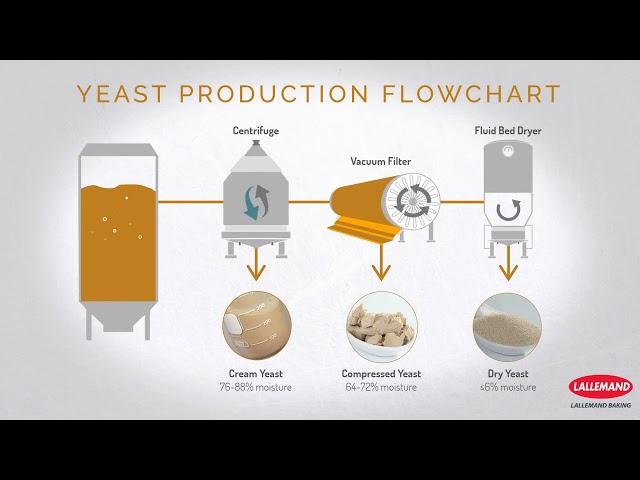 Lallemand Baking: The Art of Fermentation video