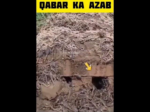 Qabar mein aaisa azab hota hai  | Qabar ka azab #shorts