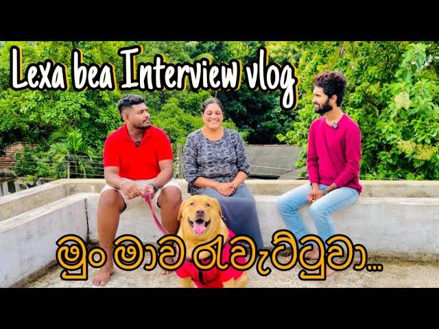 ජොබ් interview එක 🫢️ | Job interview @aharenna2975 aharenna