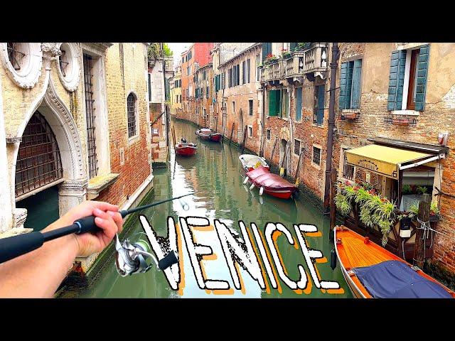 Fishing in VENICE City Center! Big Predators on Topwater Lures