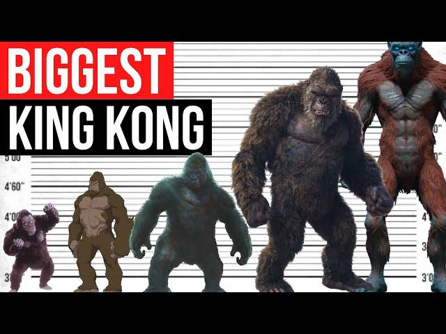 Biggest King Kong in History | Size Comparison