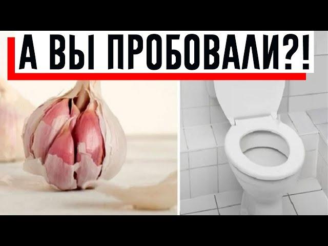 Перед сном свекровь кладет зубчик чеснока в унитаз! Потрясающий лайфхак!