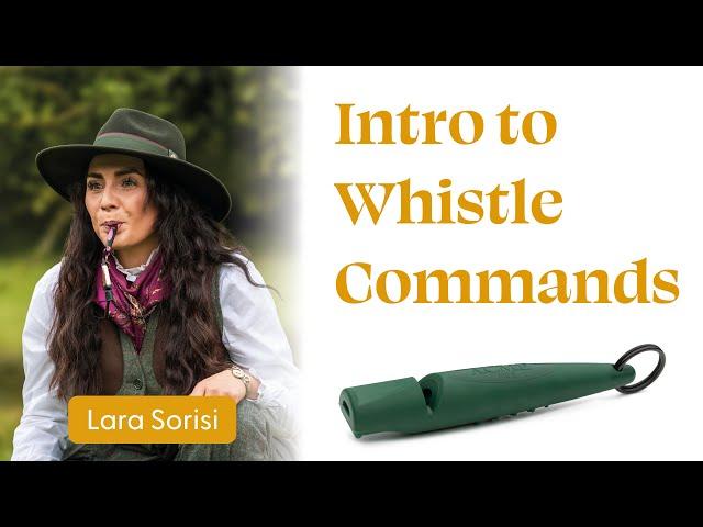 Into to whistle commands