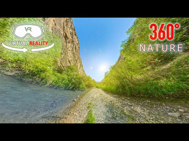 Immerse Yourself in Nature: A VR 360° River Walk