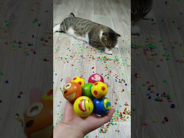 Funny Cats Barsik Vasj  Reverse video Marbles