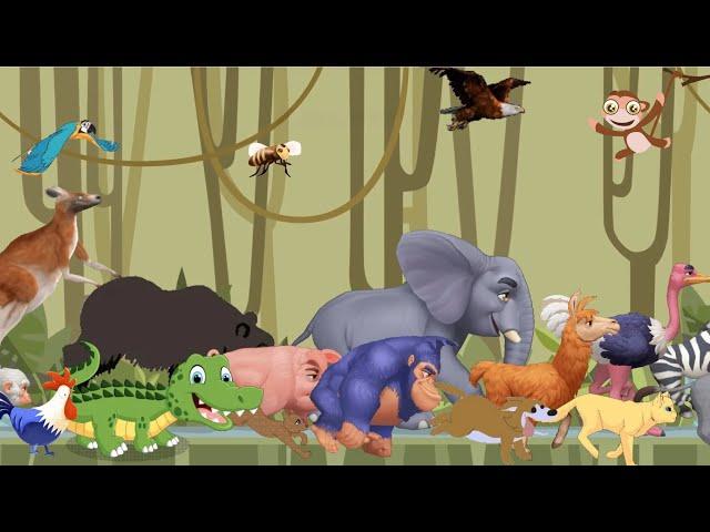 Animal Sounds Song for Kids ABC Nursery Rhymes for Toddlers  Educational Super Simple Song!