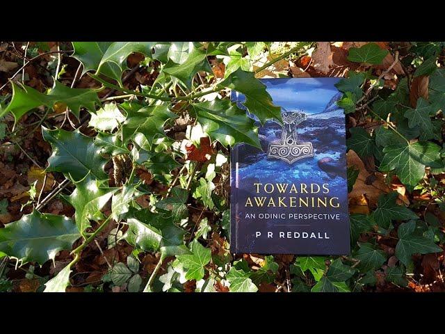 Towards Awakening: an Odinic Perspective from Mannaz Tribe