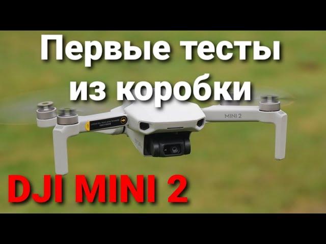 DJI Mini 2 - первые тесты из коробки.