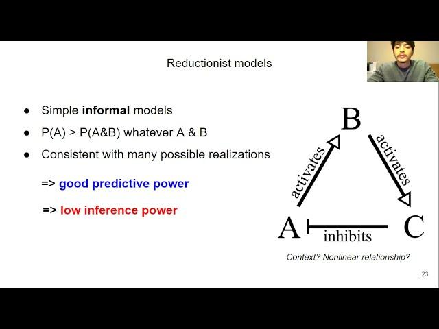 Reductionism vs Holism in Modeling Biological Systems