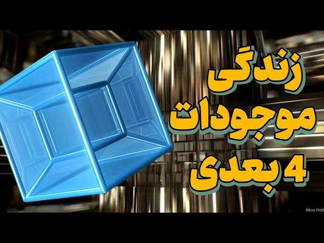 بعد چهارم : زندگی موجودات چهار بعدی چگونه است و چطور میبینند. #دانستنی #پادکست