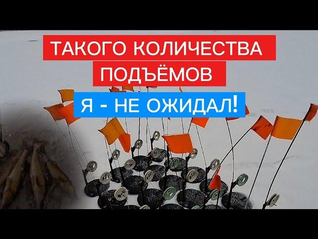 СУДАК и ЩУКА на ЖЕРЛИЦЫ НОЧЬЮ! ОЧЕНЬ много ПОДЪЁМОВ!