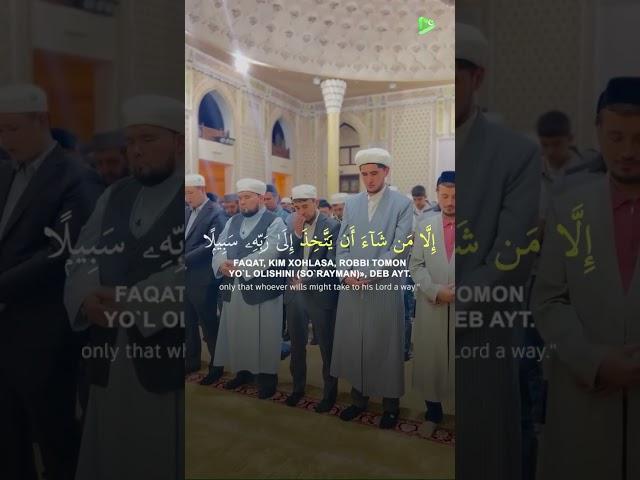 Nur yuzli qorilar  | Muhammadloiq qori va Shayh Alijon qorilar