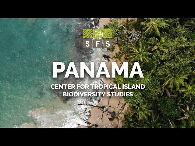 Study Abroad in Panama | SFS - The School for Field Studies