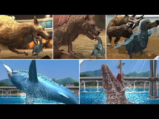 ALL CENOZOIC & ALL AQUATIC FEEDING OR HUNTING SCENE ANIMATION | Jurassic World The Game