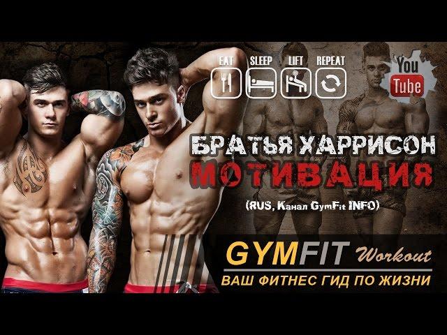 БЛИЗНЕЦЫ ХАРРИСОН. МОТИВАЦИЯ!!! (братья Льюис и Оуэн) | RUS, Канал GymFit INFO