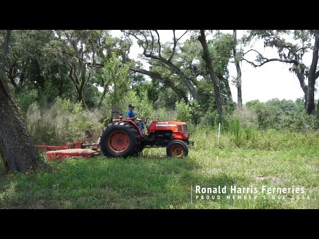 Ronald Harris Ferneries - FGFF Farmer Spotlight