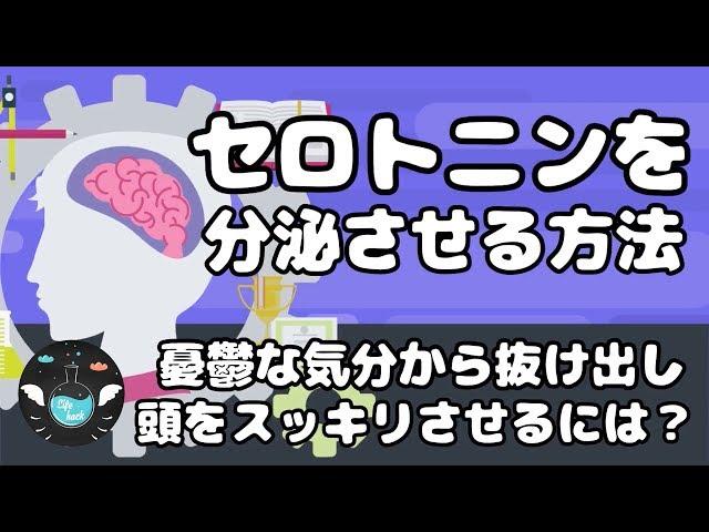 【気分が沈みがちな方へ】セロトニンを増やしメンタルの不調を改善する方法