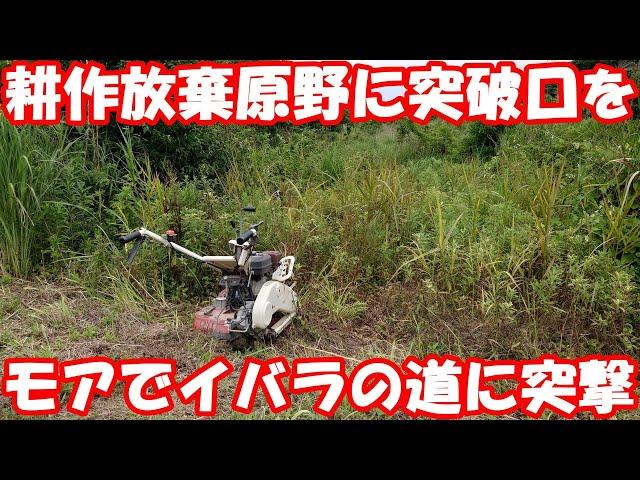 Using a wing mower to make a path through abandoned fields.