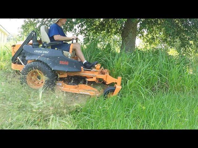 Lawn care vlog #21 Tall Grass Annihilation! = Satisfying mowing!