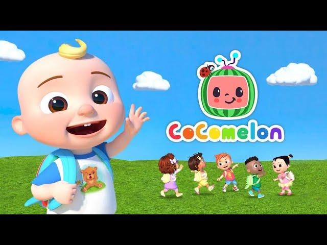 Watching COCOMELON for the FIRST TIME!