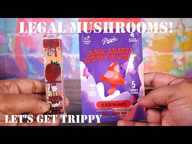 Legal Mushrooms?!?! Purple Amanita Mushroom Gummy Review! VapingwithTwisted420