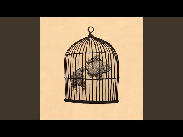 Rule #4 - Fish in a Birdcage